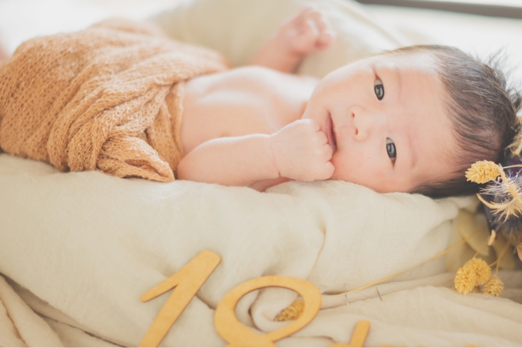 4、お写真お渡し